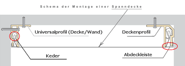 Gerüstverleih - Minibaggerverleih - Spanndeckenmontage